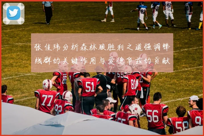 张佳玮分析森林狼胜利之道强调锋线群的关键作用与爱德华兹的贡献