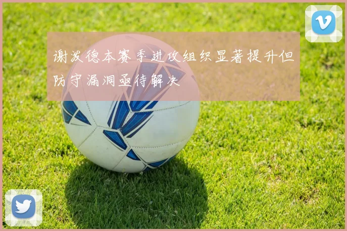 谢泼德本赛季进攻组织显著提升但防守漏洞亟待解决